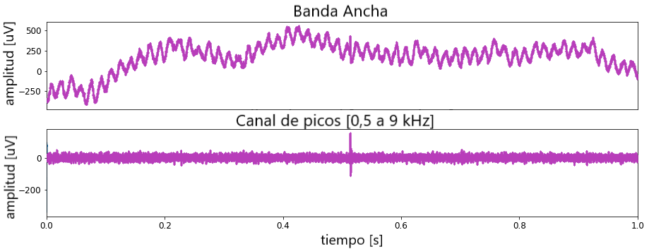 redes neuronales python - Band Ancha y Canal de picos.