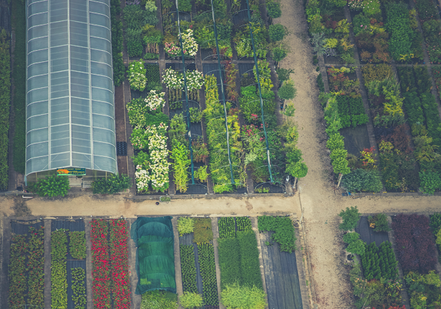 Machine Learning en agricultura y ganadería