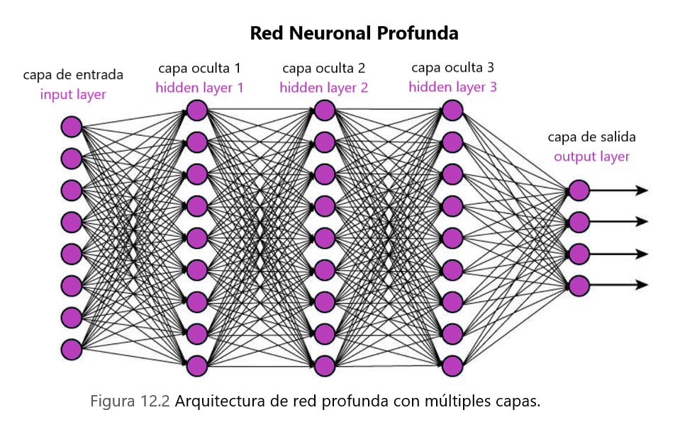 Redes Neuronales Profundas: red neuronal profunda.